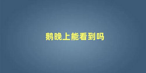 鹅晚上能看到吗