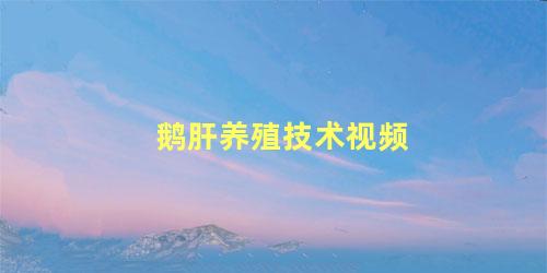 鹅肝养殖技术视频