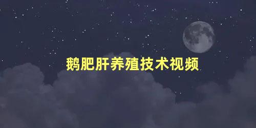 鹅肥肝养殖技术视频