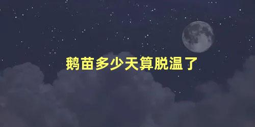 鹅苗多少天算脱温了