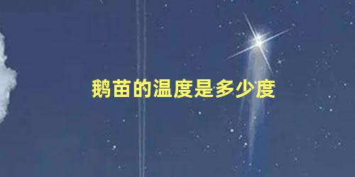 鹅苗的温度是多少度