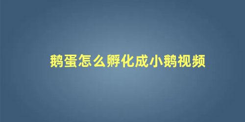 鹅蛋怎么孵化成小鹅视频