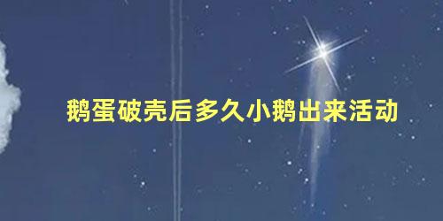 鹅蛋破壳后多久小鹅出来活动