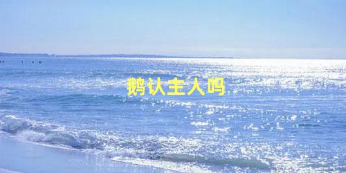 鹅认主人吗