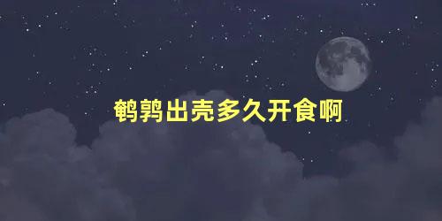 鹌鹑出壳多久开食啊