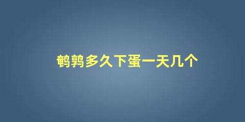 鹌鹑多久下蛋一天几个