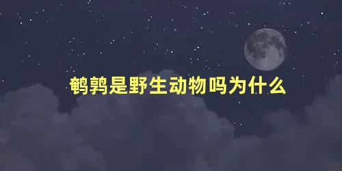 鹌鹑是野生动物吗为什么