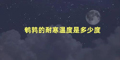 鹌鹑的耐寒温度是多少度