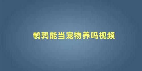 鹌鹑能当宠物养吗视频