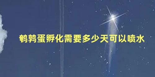 鹌鹑蛋孵化需要多少天可以喷水