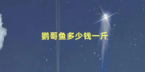 鹦哥鱼多少钱一斤