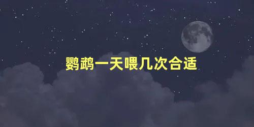 鹦鹉一天喂几次合适