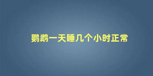 鹦鹉一天睡几个小时正常