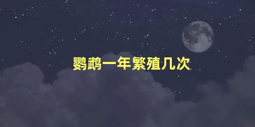 鹦鹉一年繁殖几次