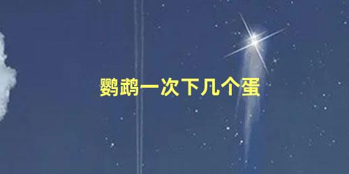 鹦鹉一次下几个蛋