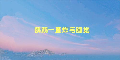 鹦鹉一直炸毛睡觉
