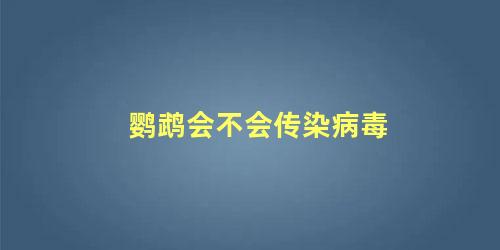 鹦鹉会不会传染病毒