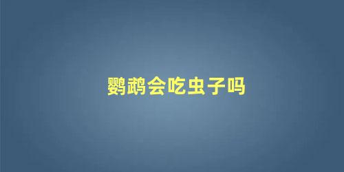 鹦鹉会吃虫子吗