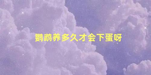 鹦鹉养多久才会下蛋呀