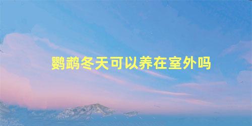 鹦鹉冬天可以养在室外吗