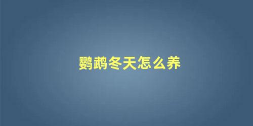 鹦鹉冬天怎么养