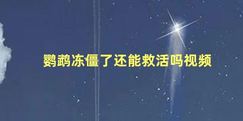 鹦鹉冻僵了还能救活吗视频