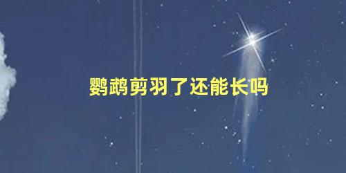 鹦鹉剪羽了还能长吗