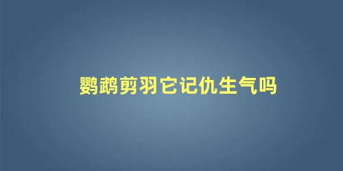 鹦鹉剪羽它记仇生气吗