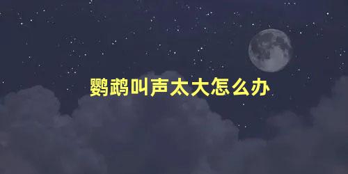 鹦鹉叫声太大怎么办