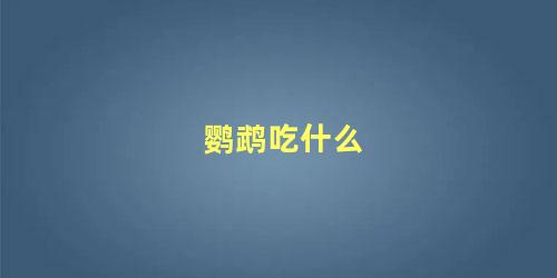 鹦鹉吃什么