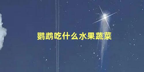鹦鹉吃什么水果蔬菜