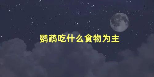 鹦鹉吃什么食物为主