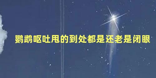鹦鹉呕吐甩的到处都是还老是闭眼