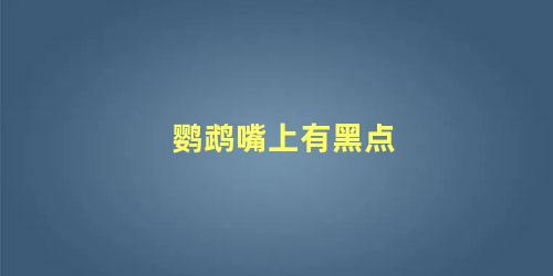 鹦鹉嘴上有黑点