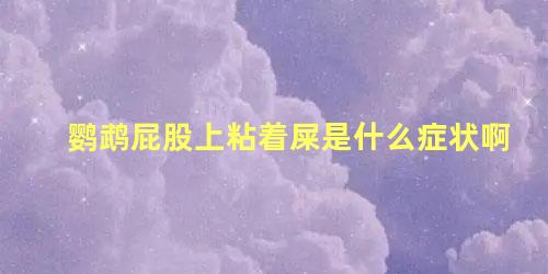 鹦鹉屁股上粘着屎是什么症状啊