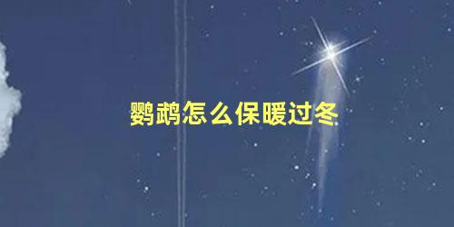 鹦鹉怎么保暖过冬