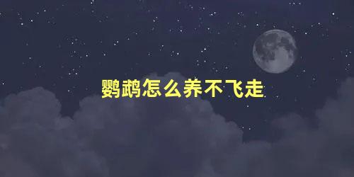 鹦鹉怎么养不飞走