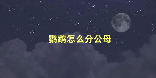 鹦鹉怎么分公母