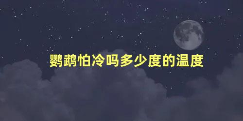鹦鹉怕冷吗多少度的温度