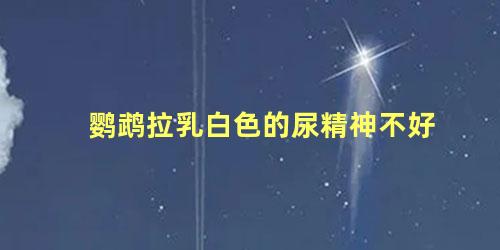 鹦鹉拉乳白色的尿精神不好