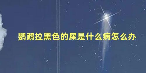 鹦鹉拉黑色的屎是什么病怎么办