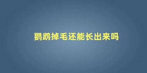 鹦鹉掉毛还能长出来吗