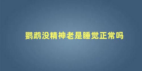 鹦鹉没精神老是睡觉正常吗