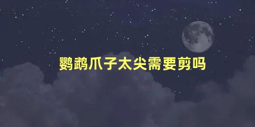 鹦鹉爪子太尖需要剪吗