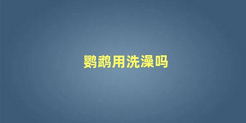 鹦鹉用洗澡吗