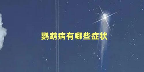 鹦鹉病有哪些症状