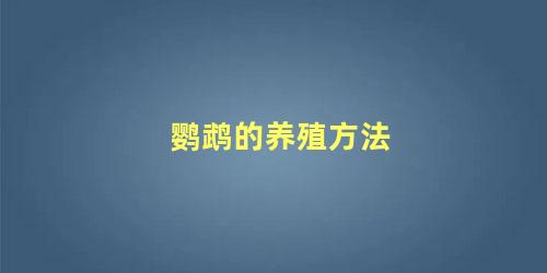 鹦鹉的养殖方法