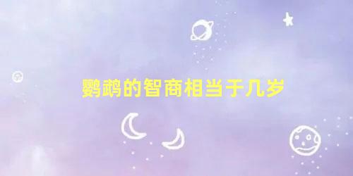 鹦鹉的智商相当于几岁
