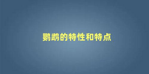 鹦鹉的特性和特点