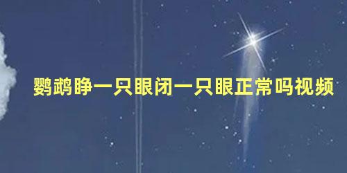 鹦鹉睁一只眼闭一只眼正常吗视频